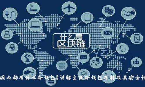 国内都用什么冷钱包?详解主流冷钱包选择及其安全性