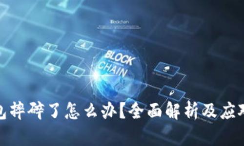 冷钱包摔碎了怎么办?全面解析及应对措施