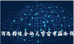  如何选择适合的元宇宙中国冷钱包？