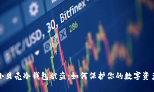 小贝壳冷钱包被盗:如何保护你的数字资产
