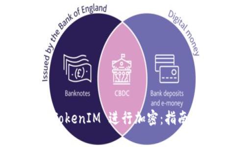 如何使用 TokenIM 进行加密:指南与实用技巧