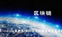 如何将Tokenim转换为TRC20？详细指南与常