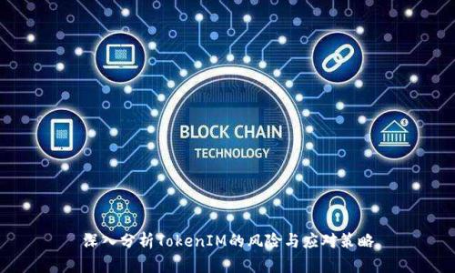 深入分析TokenIM的风险与应对策略