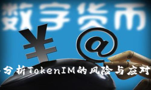深入分析TokenIM的风险与应对策略