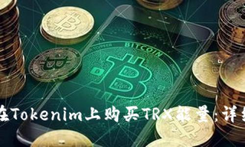 如何在Tokenim上购买TRX能量:详细指南