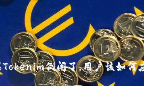 如果Tokenim倒闭了,用户该如何应对?