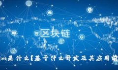 Tokenim是什么？基于什么开发及其应用