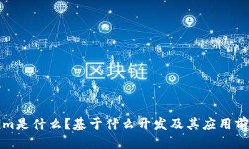 Tokenim是什么?基于什么开发及其应用前景分析