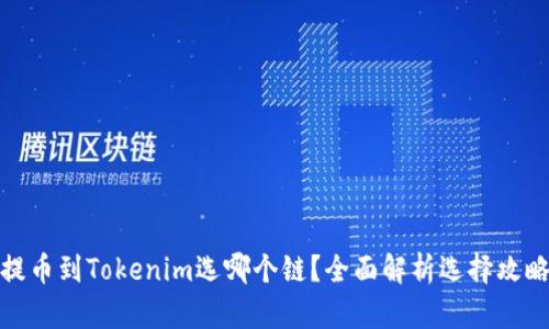 提币到Tokenim选哪个链?全面解析选择攻略