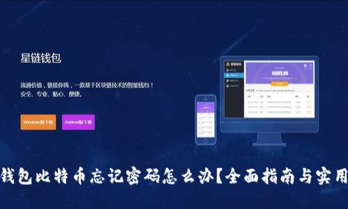 : 冷钱包比特币忘记密码怎么办?全面指南与实用技巧