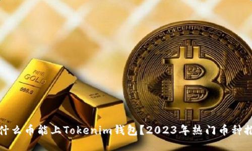 : 什么币能上Tokenim钱包?2023年热门币种推荐