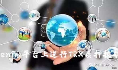 如何在Tokenim平台上进行TRX质押挖矿:全面指南