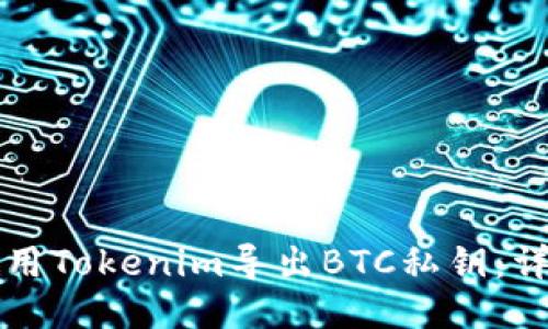 如何使用Tokenim导出BTC私钥:详细指南
