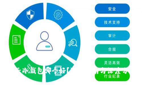 电子冷钱包哪个好?选择指南与深度分析