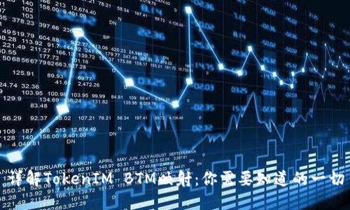详解TokenIM BTM映射：你需要知道的一切