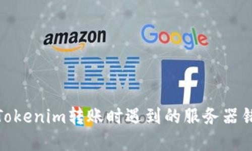 : 解决Tokenim转账时遇到的服务器错误问题