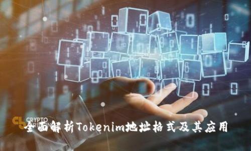 全面解析Tokenim地址格式及其应用