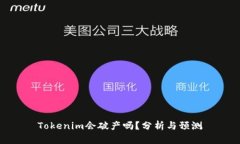 Tokenim会破产吗？分析与预测