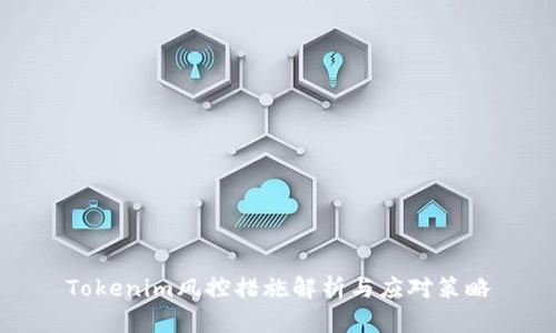 Tokenim风控措施解析与应对策略
