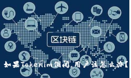 如果Tokenim倒闭,用户该怎么办?
