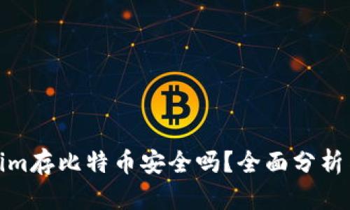 Tokenim存比特币安全吗?全面分析与建议