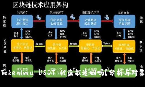 Tokenimu USDT 被盗能追回吗?分析与对策