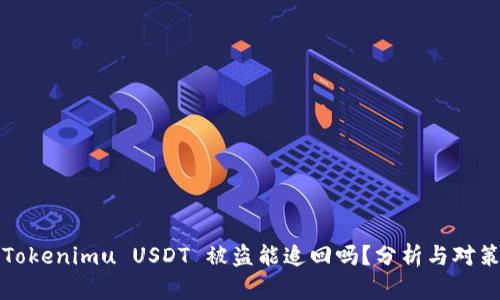 Tokenimu USDT 被盗能追回吗?分析与对策