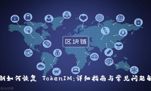 私钥如何恢复 TokenIM:详细指南与常见问题解答