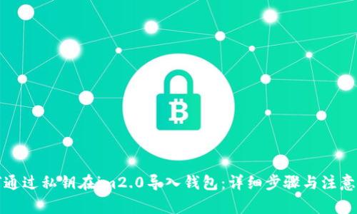 如何通过私钥在im2.0导入钱包:详细步骤与注意事项