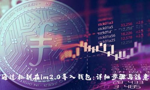 如何通过私钥在im2.0导入钱包:详细步骤与注意事项