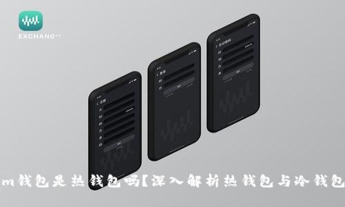 Tokenim钱包是热钱包吗?深入解析热钱包与冷钱包的区别