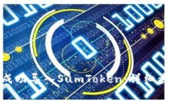 如何在TokenIm中成功导入SumToken：详细步