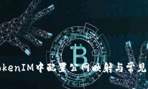 如何在TokenIM中配置公网映射与常见问题解答