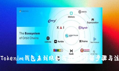 提币到Tokenim钱包未到账如何找回?详解步骤与注意事项
