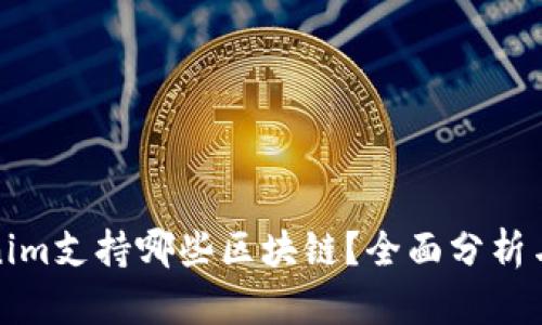 Tokenim支持哪些区块链?全面分析与指南