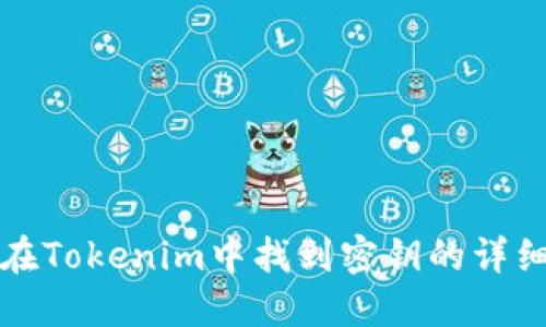 如何在Tokenim中找到密钥的详细指南