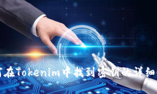 如何在Tokenim中找到密钥的详细指南