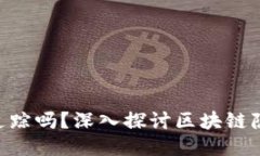 Tokenim能被追踪吗？深入探讨区块链隐
