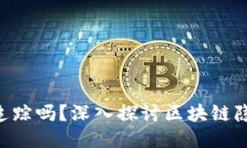 Tokenim能被追踪吗?深入探讨区块链隐私与可追踪性