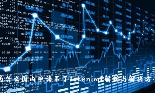 为什么国内申请不了Tokenim?解析与解决方案