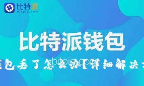 Tokenim硬件钱包丢了怎么办?详细解决方案与安全指南