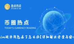 Tokenim硬件钱包丢了怎么办？详细解决