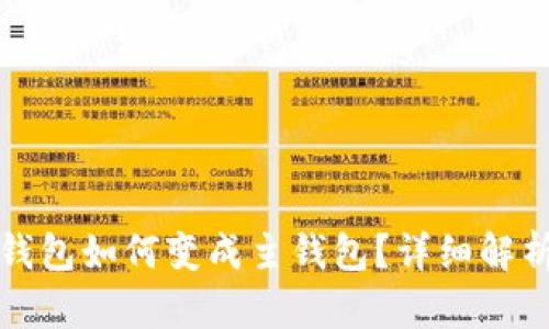 冷钱包观察钱包如何变成主钱包?详细解析与步骤指南