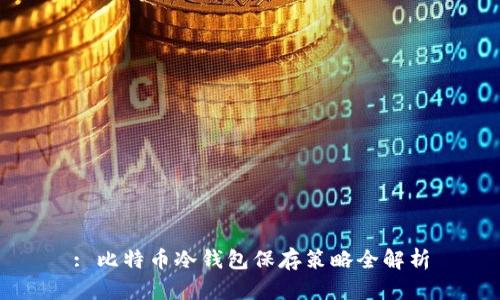 : 比特币冷钱包保存策略全解析