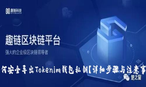 如何安全导出Tokenim钱包私钥?详细步骤与注意事项