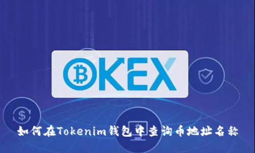如何在Tokenim钱包中查询币地址名称