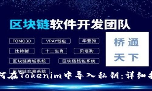 如何在Tokenim中导入私钥:详细指南