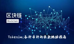 Tokenim：各种币种的收款地址指南
