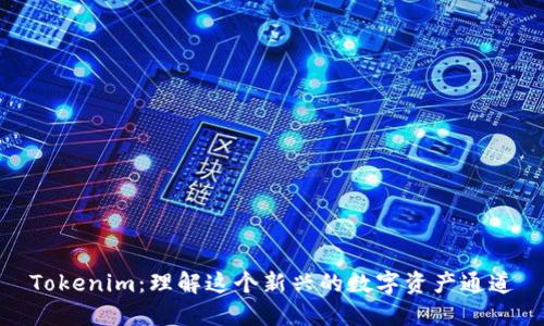 Tokenim:理解这个新兴的数字资产通道