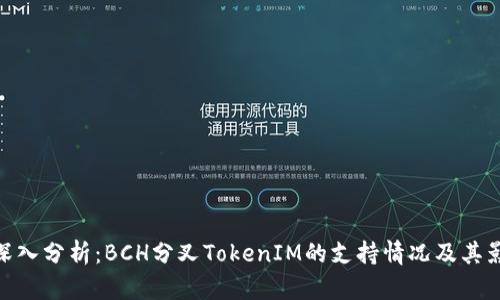 : 深入分析:BCH分叉TokenIM的支持情况及其影响